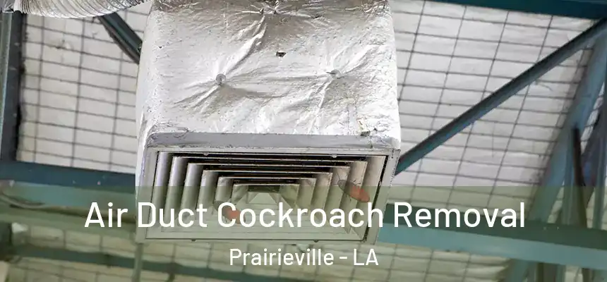  Air Duct Cockroach Removal Prairieville - LA