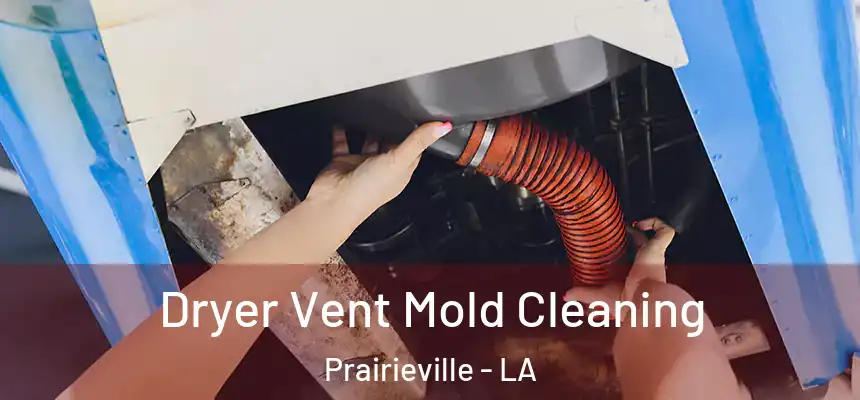  Dryer Vent Mold Cleaning Prairieville - LA
