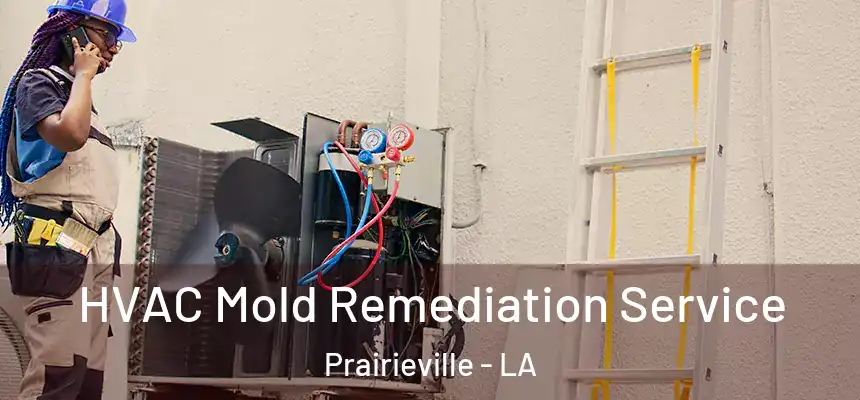  HVAC Mold Remediation Service Prairieville - LA