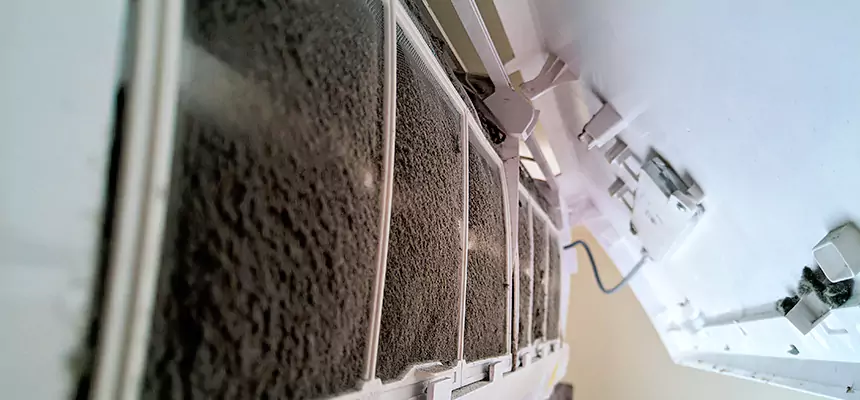 Preventive Air Duct Bacteria Removal in Prairieville