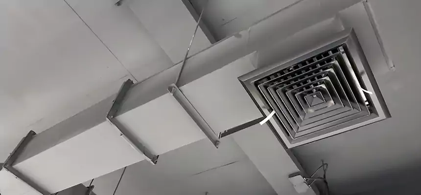 Our Rodent Droppings In Vents Services in Prairieville, LA