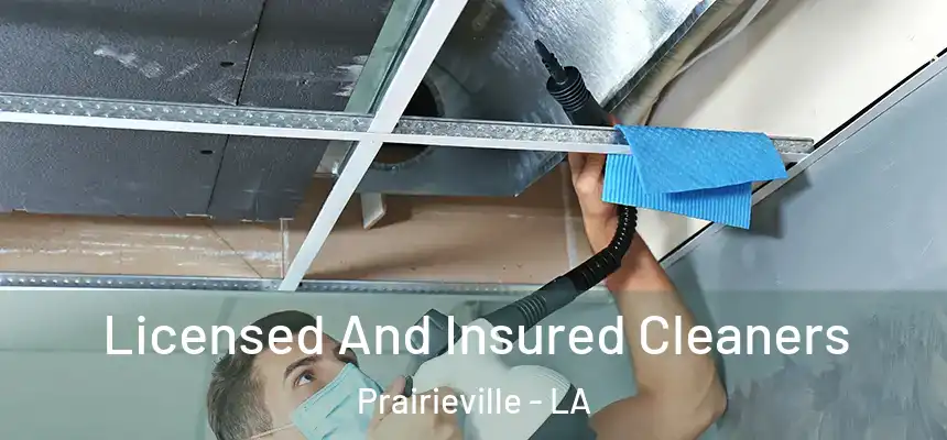 Licensed And Insured Cleaners Prairieville - LA