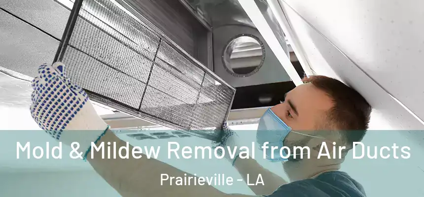  Mold & Mildew Removal from Air Ducts Prairieville - LA