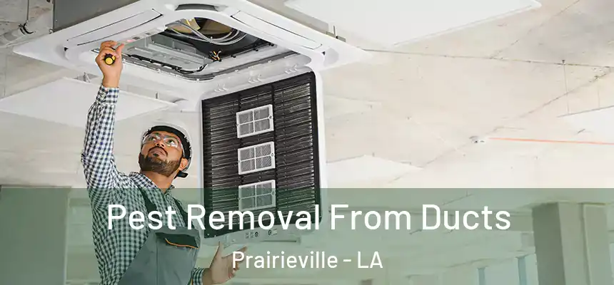  Pest Removal From Ducts Prairieville - LA