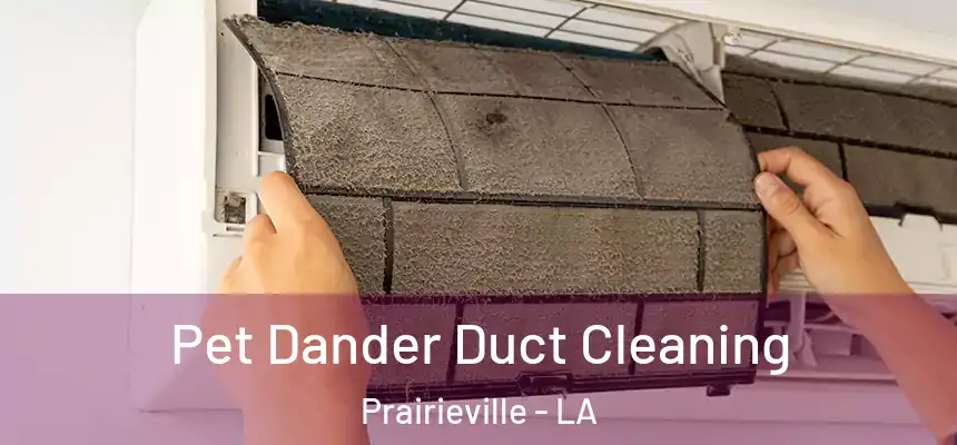  Pet Dander Duct Cleaning Prairieville - LA