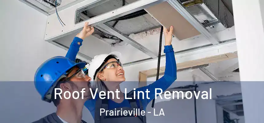 Roof Vent Lint Removal Prairieville - LA