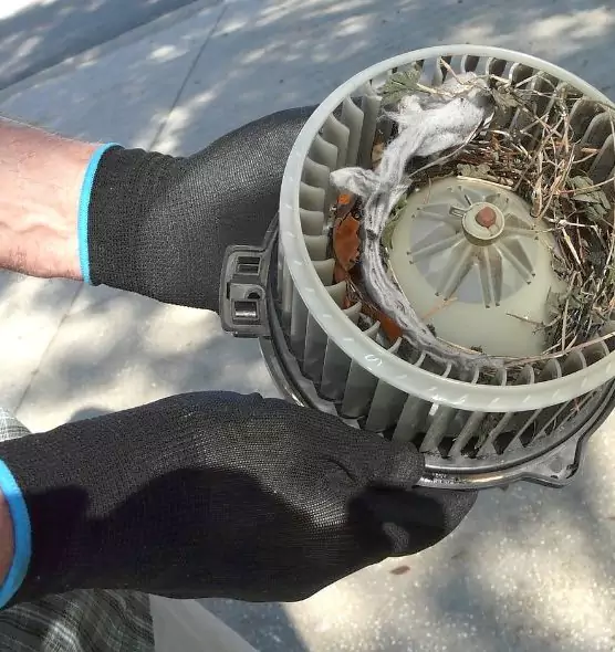 About Air Duct Rat Removal in Prairieville, LA