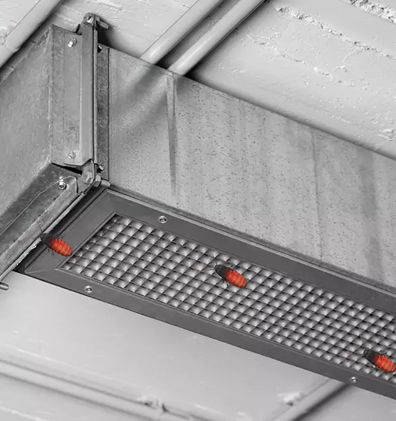Affordable Insect Removal from Air Ducts in Prairieville, LA