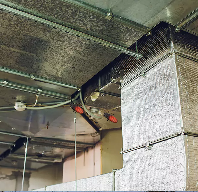 Why Homeowners & Businesses Trust Us in Prairieville, LA?