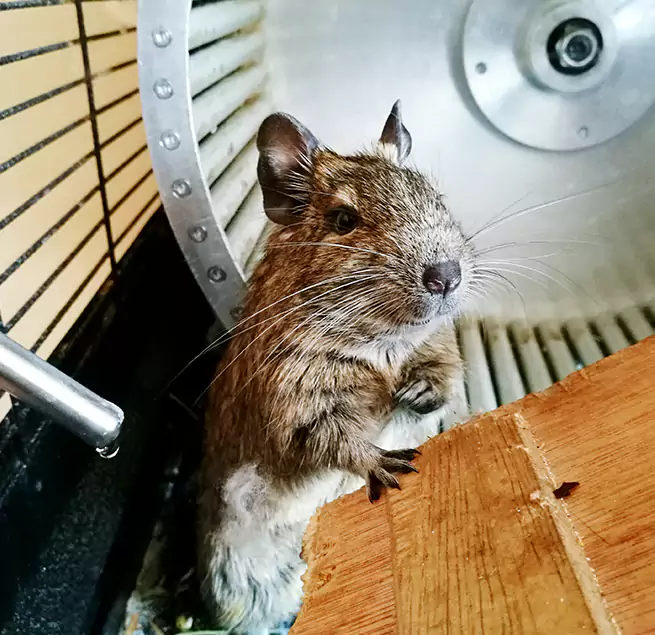 Why Homeowners & Businesses Trust Us Prairieville, LA