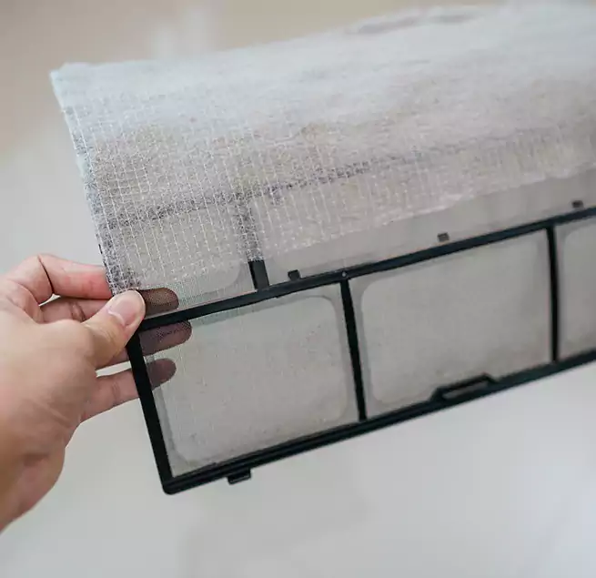 Why Homeowners & Businesses Trust Us in Prairieville, LA?